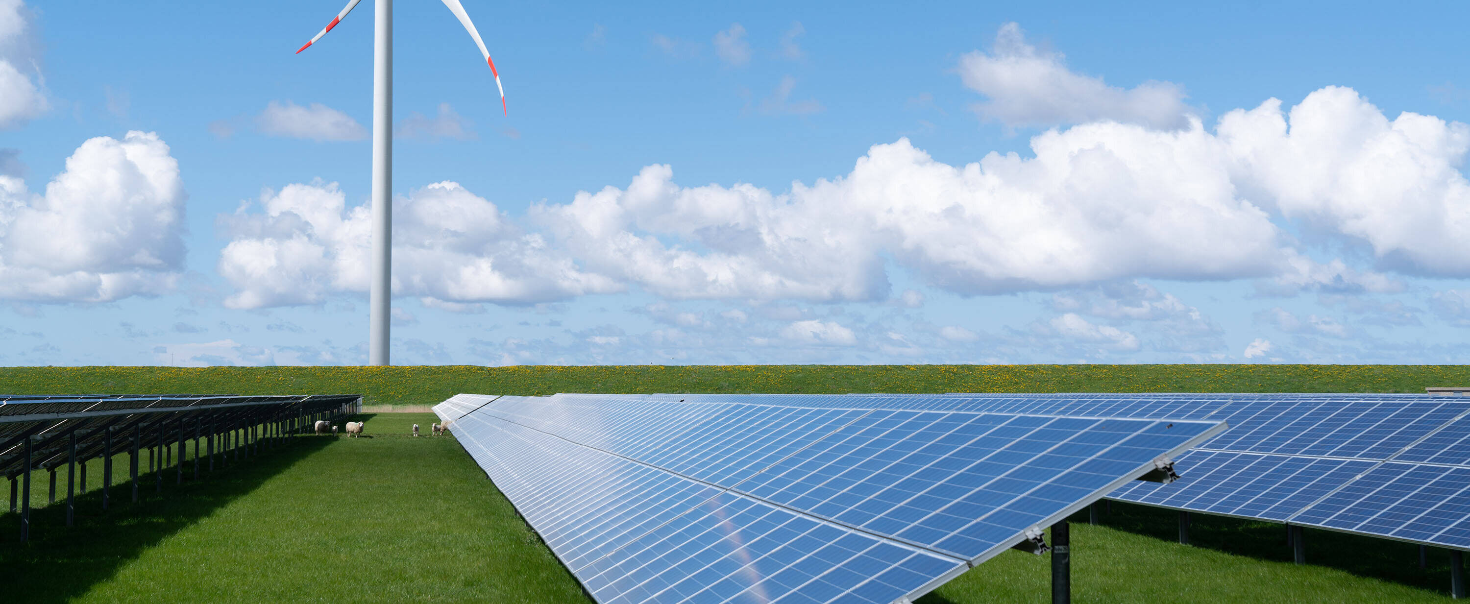buergerwind_solarpark_02